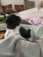 processed/5e2710ac-c9d0-4cde-8739-8376fdd60bd8/listing/c4d3484e-e652-4d61-bbd1-5a05c6cfabd2/5735d96b-4e02-43a5-8c93-6db0f6403602