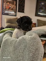 processed/5e2710ac-c9d0-4cde-8739-8376fdd60bd8/listing/c4d3484e-e652-4d61-bbd1-5a05c6cfabd2/87f034c6-247f-4185-8554-15048c6745e0