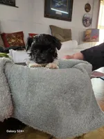 processed/5e2710ac-c9d0-4cde-8739-8376fdd60bd8/listing/c4d3484e-e652-4d61-bbd1-5a05c6cfabd2/9879ce63-aff3-44c2-b425-7d60d35b431c