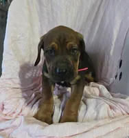 processed/5e2710ac-c9d0-4cde-8739-8376fdd60bd8/listing/eb4e5dcd-bb4f-4d7d-8924-233bd2bd2a9b/129c5dc0-ece6-422d-96c0-8f3c6e3b92aa