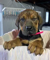 processed/5e2710ac-c9d0-4cde-8739-8376fdd60bd8/listing/eb4e5dcd-bb4f-4d7d-8924-233bd2bd2a9b/225a7ab8-a984-49b9-8fb3-82e48cbbbddd