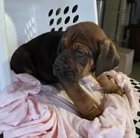 processed/5e2710ac-c9d0-4cde-8739-8376fdd60bd8/listing/eb4e5dcd-bb4f-4d7d-8924-233bd2bd2a9b/5bf76708-1402-403e-a72f-09b27af9d5cf