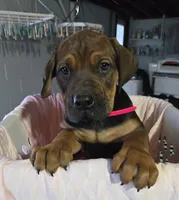 processed/5e2710ac-c9d0-4cde-8739-8376fdd60bd8/listing/eb4e5dcd-bb4f-4d7d-8924-233bd2bd2a9b/5d80a40c-ff98-4923-8dd8-615178a30e44