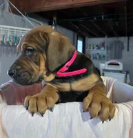 processed/5e2710ac-c9d0-4cde-8739-8376fdd60bd8/listing/eb4e5dcd-bb4f-4d7d-8924-233bd2bd2a9b/cdddbca6-a495-499a-b0c9-d38e698bf93b