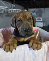 processed/5e2710ac-c9d0-4cde-8739-8376fdd60bd8/listing/eb4e5dcd-bb4f-4d7d-8924-233bd2bd2a9b/dffbab25-b85d-4ee2-9cd3-778d79c5c813