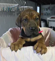 processed/5e2710ac-c9d0-4cde-8739-8376fdd60bd8/listing/eb4e5dcd-bb4f-4d7d-8924-233bd2bd2a9b/eaf5b228-ed39-4dfa-bfaa-dd9db48be556