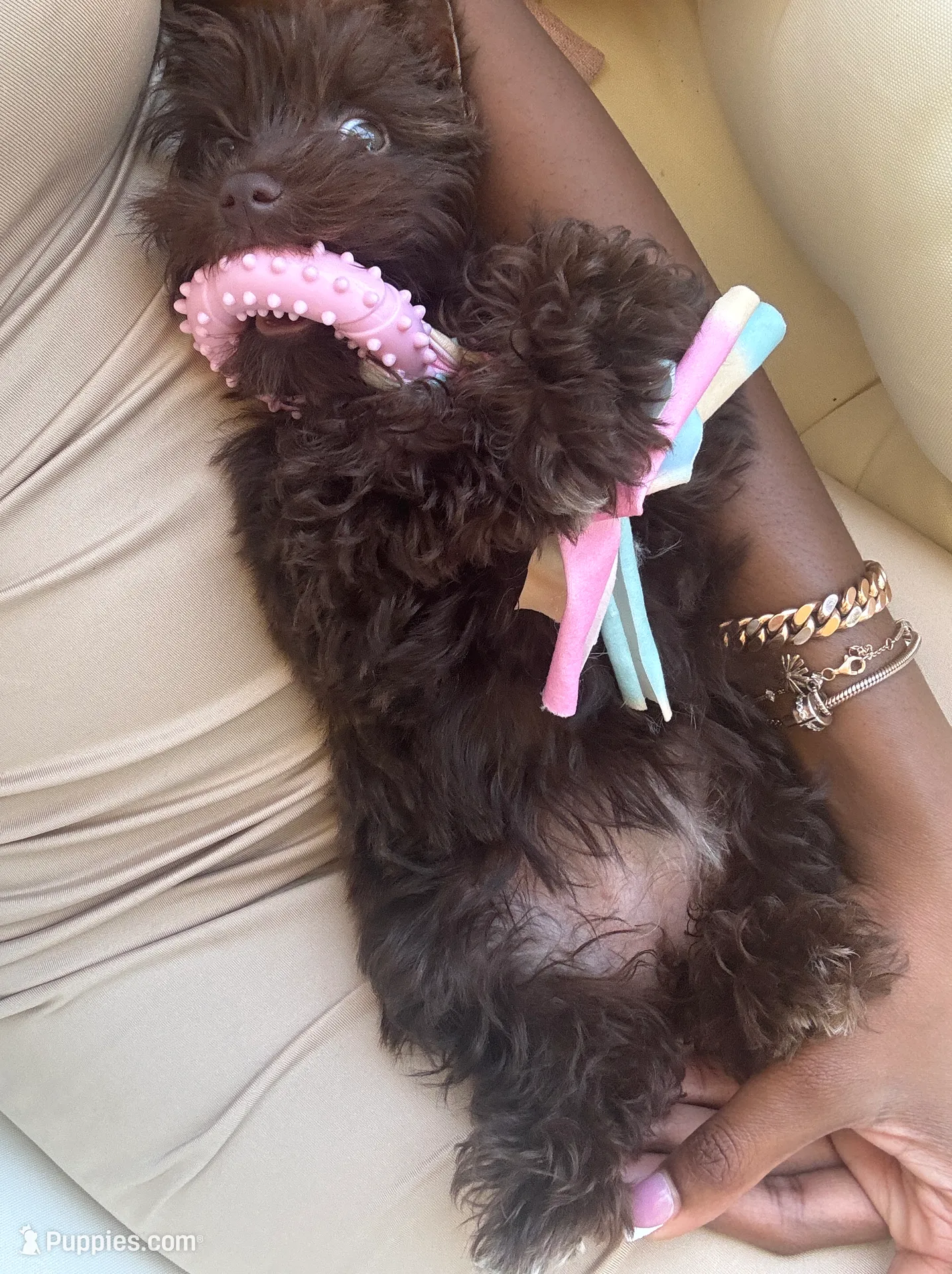 processed/5e32d03d-2f2c-4253-8f38-e8d0d7437758/listing/70417bbb-7a6b-42d9-8fc6-14458a2011b3/c81b2841-8d63-43a9-ad42-8887f10cf82a