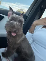 processed/5e32d03d-2f2c-4253-8f38-e8d0d7437758/listing/70417bbb-7a6b-42d9-8fc6-14458a2011b3/d8668874-49fb-4c46-9f06-4958c2af3bed