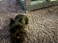 processed/5e32d03d-2f2c-4253-8f38-e8d0d7437758/listing/70417bbb-7a6b-42d9-8fc6-14458a2011b3/f54cc61f-9569-4cee-b5a7-da0d8d4dd41e