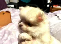 processed/5e34aeba-baf6-4310-9104-ac5a9f6f83c2/listing/4a9c461f-552b-4f78-b758-b783684813ae/1e928369-40ed-4549-a568-a492fc32b85f