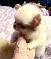 processed/5e34aeba-baf6-4310-9104-ac5a9f6f83c2/listing/4a9c461f-552b-4f78-b758-b783684813ae/2f701319-557e-45f1-a764-eec9c359d82d