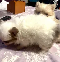 processed/5e34aeba-baf6-4310-9104-ac5a9f6f83c2/listing/4a9c461f-552b-4f78-b758-b783684813ae/f2ea5232-cc1b-4b2c-bf4f-93b0057772de