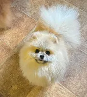 processed/5e34aeba-baf6-4310-9104-ac5a9f6f83c2/listing/7800f3cd-8a14-45b8-b1a1-8bc65519f09a/4927ecb0-0495-409c-ac26-6d340bad9422