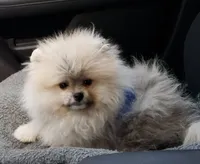 processed/5e34aeba-baf6-4310-9104-ac5a9f6f83c2/listing/7800f3cd-8a14-45b8-b1a1-8bc65519f09a/84d96317-8b67-41ab-940f-4e28a75cc35b