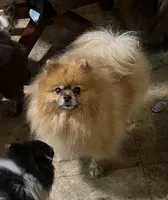 processed/5e34aeba-baf6-4310-9104-ac5a9f6f83c2/listing/8e2e1ca7-5c98-434f-98b7-cc4d9d572a14/f58b203b-c3d4-46ab-ad1e-89c84b5dbb23