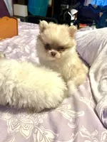 processed/5e34aeba-baf6-4310-9104-ac5a9f6f83c2/listing/de9c62e0-c3e2-4414-8f60-30d8ec21450f/a256a941-716c-4eb6-a607-2c9161bb9a40