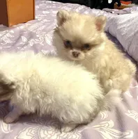 processed/5e34aeba-baf6-4310-9104-ac5a9f6f83c2/listing/de9c62e0-c3e2-4414-8f60-30d8ec21450f/c34170d8-9dbf-44a9-9946-0eda7698591c