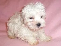 processed/5e4f4ab5-bde4-4232-8a8a-c1ccfa26eb69/listing/c6a8c084-1fa8-4053-b5c8-f865378d825d/53b9872d-3a34-49b1-bf71-23bf4e2096a0