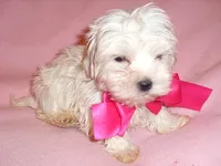 processed/5e4f4ab5-bde4-4232-8a8a-c1ccfa26eb69/listing/c6a8c084-1fa8-4053-b5c8-f865378d825d/92b39d75-427c-44eb-a6da-b99874c1ce55