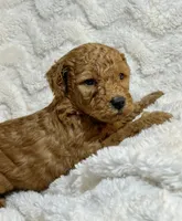 processed/5e503320-0548-437d-974c-f3145aa0edd7/listing/5cf1fa93-4c87-418e-a3ee-218090de7899/0257b203-bbe5-46a4-93b5-e21314da34c8