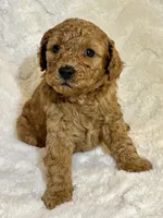 processed/5e503320-0548-437d-974c-f3145aa0edd7/listing/5cf1fa93-4c87-418e-a3ee-218090de7899/6fb5d8d7-0395-45e3-a11f-c6a1ba57d321