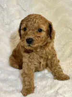 processed/5e503320-0548-437d-974c-f3145aa0edd7/listing/5cf1fa93-4c87-418e-a3ee-218090de7899/de20a024-600e-4d5f-8058-efc0a27929ad