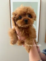 processed/5e509f14-6e9b-4ebf-a7d9-3232fc2da4ad/listing/1e8b6527-ee32-48c1-9ff3-048cfdc4cef7/4cb9c96d-fce7-467a-802a-4e88edd7a59c