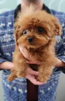 processed/5e509f14-6e9b-4ebf-a7d9-3232fc2da4ad/listing/1e8b6527-ee32-48c1-9ff3-048cfdc4cef7/6ed8622b-ca7e-4310-bfea-c8eb2ee11583