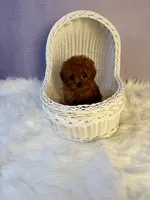 processed/5e509f14-6e9b-4ebf-a7d9-3232fc2da4ad/listing/219ce82e-f525-4bf7-b8a9-8f486149d58f/9fa192ec-4221-4af6-8646-1ee533cf9dca