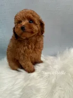 processed/5e509f14-6e9b-4ebf-a7d9-3232fc2da4ad/listing/3efba7ef-4c56-421c-aa50-0386199c27b6/2f101a88-dede-4f8d-9a07-4e6a1ef0f9db