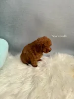 processed/5e509f14-6e9b-4ebf-a7d9-3232fc2da4ad/listing/3efba7ef-4c56-421c-aa50-0386199c27b6/f58a19e0-a492-4582-aa08-0fc10ce8e85b