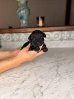 processed/5e530993-183d-41b5-9dfa-b5457daa5b48/listing/19ef20e5-7f55-4073-a391-c30a30e97163/24b05858-5ec4-4f8f-a325-4d072deeb008