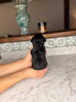 processed/5e530993-183d-41b5-9dfa-b5457daa5b48/listing/19ef20e5-7f55-4073-a391-c30a30e97163/3bdd385e-696c-4a3b-804c-50a76cb25ee3