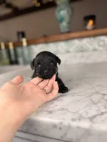 processed/5e530993-183d-41b5-9dfa-b5457daa5b48/listing/19ef20e5-7f55-4073-a391-c30a30e97163/5f0c4aee-dc87-4274-9030-adcbba728684