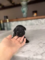 processed/5e530993-183d-41b5-9dfa-b5457daa5b48/listing/19ef20e5-7f55-4073-a391-c30a30e97163/77dc2a1b-3dbc-4429-8ae2-5390cfbdd58d