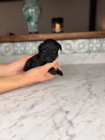 processed/5e530993-183d-41b5-9dfa-b5457daa5b48/listing/19ef20e5-7f55-4073-a391-c30a30e97163/cd0f5bda-dd2f-42c4-817f-f3118ac65012