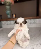 processed/5e530993-183d-41b5-9dfa-b5457daa5b48/listing/5e3ab29f-c657-4745-aa80-6c138c33e15f/59ed58a3-a5ec-4e5c-b315-6c41644a1403