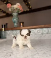 processed/5e530993-183d-41b5-9dfa-b5457daa5b48/listing/5e3ab29f-c657-4745-aa80-6c138c33e15f/f0d7ed9f-140d-4b98-b11b-bf7967910580