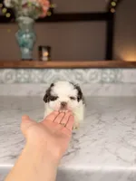 processed/5e530993-183d-41b5-9dfa-b5457daa5b48/listing/852eafe4-cf2f-4472-8078-61e94777f813/331d42e1-d5b4-4565-8e14-0c3e5e743426