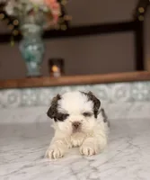 processed/5e530993-183d-41b5-9dfa-b5457daa5b48/listing/852eafe4-cf2f-4472-8078-61e94777f813/c3284839-fb36-4579-963f-bc6d48563a6d