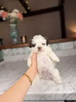 processed/5e530993-183d-41b5-9dfa-b5457daa5b48/listing/852eafe4-cf2f-4472-8078-61e94777f813/ee31ed0a-6003-4959-83a8-58a0ca3b94cc