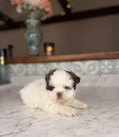 processed/5e530993-183d-41b5-9dfa-b5457daa5b48/listing/852eafe4-cf2f-4472-8078-61e94777f813/f65f9b4e-0be3-40f7-bfeb-76b4f63d1b19