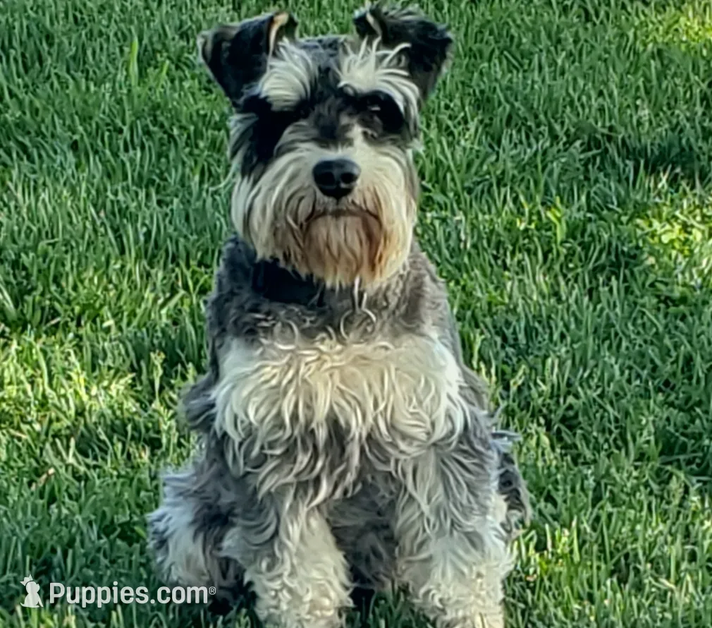 processed/5e5a8906-b17c-4c1b-9426-071a598cc949/listing/057b7b79-5d04-4666-853e-96075d6e0992/29984c4d-5d69-476d-893a-058ec397923b