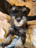 processed/5e5a8906-b17c-4c1b-9426-071a598cc949/listing/057b7b79-5d04-4666-853e-96075d6e0992/2d15d2fe-b1cc-43b1-ad17-47847393de66