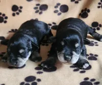 processed/5e5a8906-b17c-4c1b-9426-071a598cc949/listing/057b7b79-5d04-4666-853e-96075d6e0992/39f24342-d7b0-44f1-9b91-2cad2abca8b5