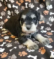 processed/5e5a8906-b17c-4c1b-9426-071a598cc949/listing/057b7b79-5d04-4666-853e-96075d6e0992/64029493-1ad3-48d3-9801-434a7d7dc16e