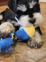 processed/5e5a8906-b17c-4c1b-9426-071a598cc949/listing/057b7b79-5d04-4666-853e-96075d6e0992/c52c9344-57d3-4261-a36d-960858146fd1