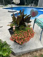 processed/5e605339-37e0-4b1c-a124-1fcc0d7213a7/facility/48769268-ac8e-4813-9d8d-c9d882668e1c