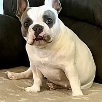 processed/5e605339-37e0-4b1c-a124-1fcc0d7213a7/facility/9157f4fb-f01a-49b2-b81b-1f788973b10f