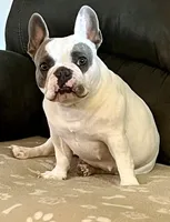 processed/5e605339-37e0-4b1c-a124-1fcc0d7213a7/facility/9157f4fb-f01a-49b2-b81b-1f788973b10f